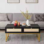 Rattan Coffee Table with 2 Drawers and Wood Top, 45.6 Inch